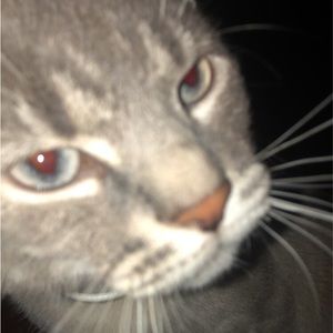 Meet your Posher, Davyn